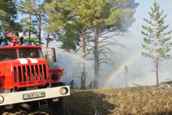 Фотография к новости: Лесной пожар угрожает сёлам в области Абай