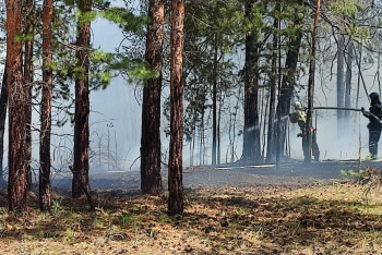 Фотография к новости: Площадь лесного пожара разрослась до 3500 гектаров в области Абай