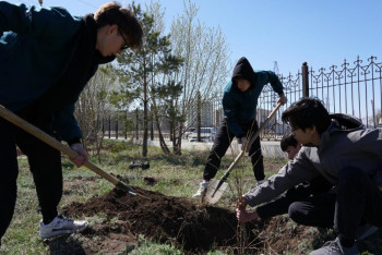 Фотография к новости: Как молодые казахстанцы могут получить первое рабочее место с господдержкой