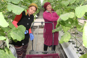 Фотография к новости: Благодаря проекту "Ауыл аманаты" около 4000 жамбылцев открыли свое дело