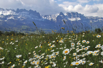 Фотография к новости: Усиление ветра, грозы: прогноз погоды на 26 мая в Астане и других регионах Казахстана