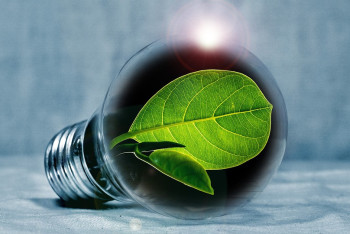 QazaqGreenFest: перспективы "зелёной" энергетики обсудили эксперты в Боровом