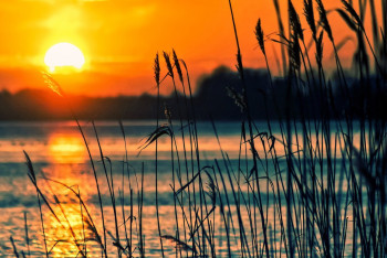 Фотография к новости: Идеальный убийца: поедающие мозг амёбы распространяются на север планеты