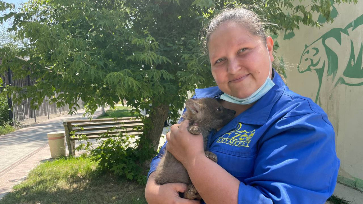 Анастасия Новикова