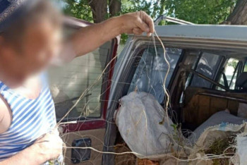 Фотография к новости: 100 кг незаконно выловленной рыбы изъяли у пенсионера в Жетысу