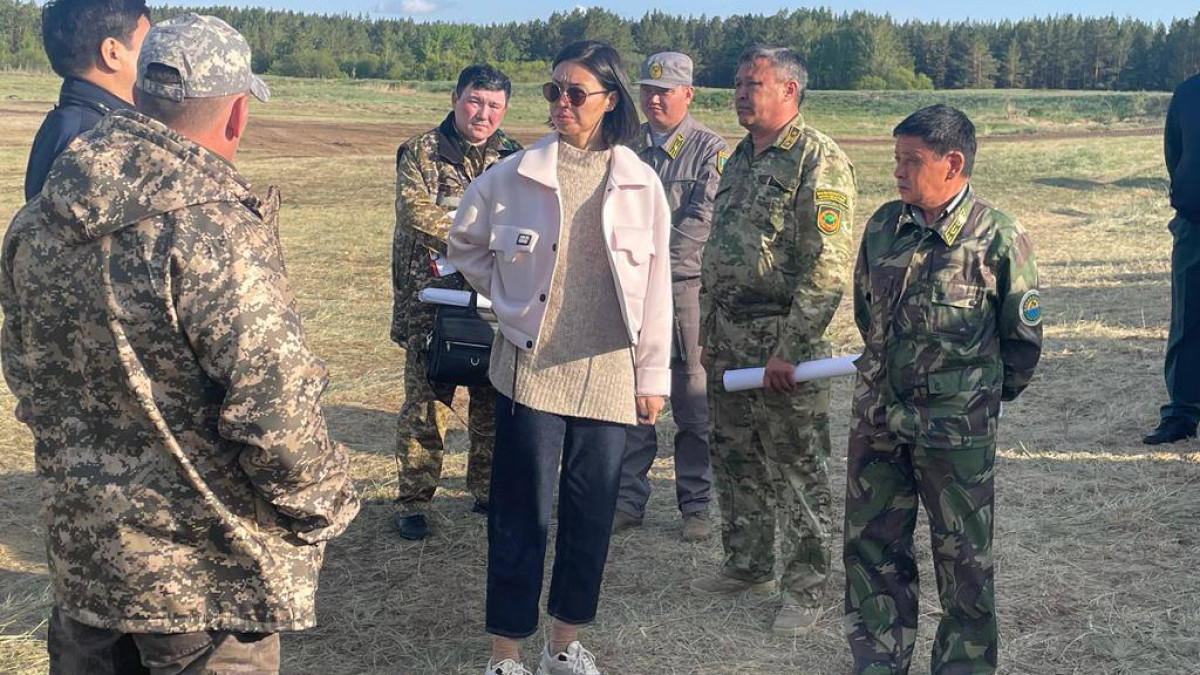 t.me/EcologyofQazaqstan