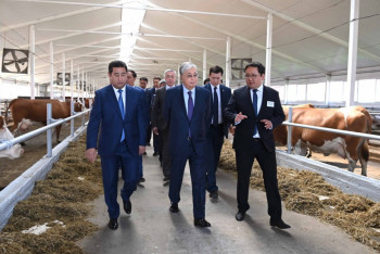 Фотография к новости: Нужно перейти на самообеспечение отечественной молочной продукцией - Токаев