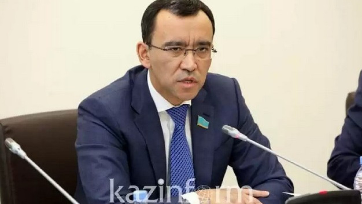 Ашимбаев раскритиковал эффективность СЭЗ