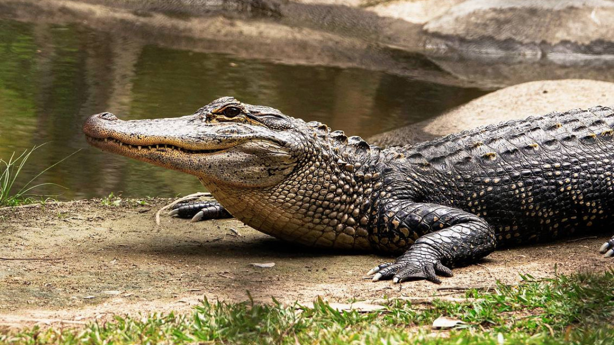 Rae Wallis / Unspash