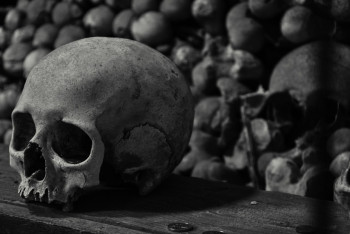 Фотография к новости: Жуткая находка: 45 мешков с частями человеческих тел нашли в Мексике