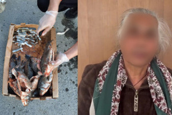 Фотография к новости: Наркотики в карасях везла на продажу бабушка в России