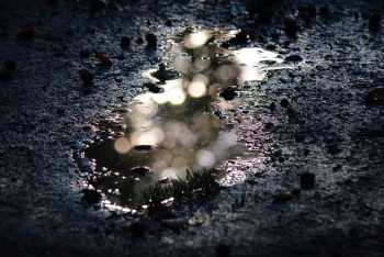 Фотография к новости: Тонны ядохимикатов растеклись в лесу СКО