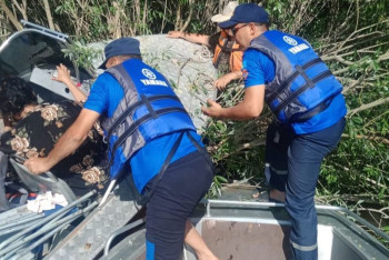 Фотография к новости: Жители Аксу на лодке врезались в кустарник. Пострадала женщина