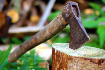 Фотография к новости: Житель Туркестанской области отрубил сельчанину голову и руки