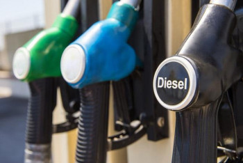 Фотография к новости: Льготное дизтопливо раскрасят в разные цвета во избежание хищения - Минэнерго