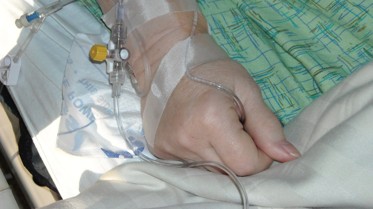 pixabay.com / иллюстративное фото