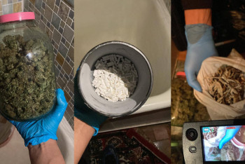 Фотография к новости: Галлюциногенные грибы и "смертельное успокоительное" изъяли у молодого костанайца