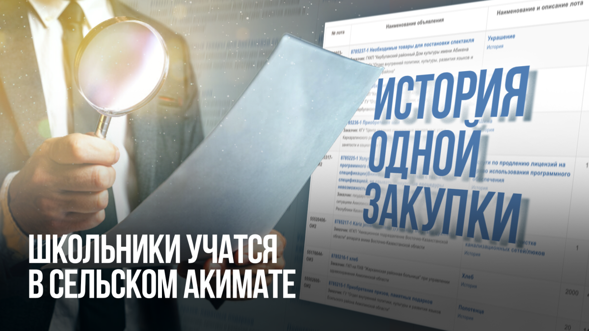 История одной закупки: школьники учатся в сельском акимате