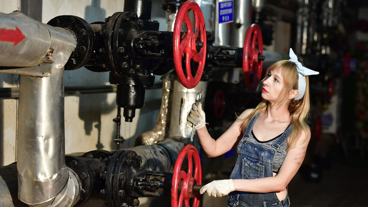 pixabay.com/Victoria_Regen