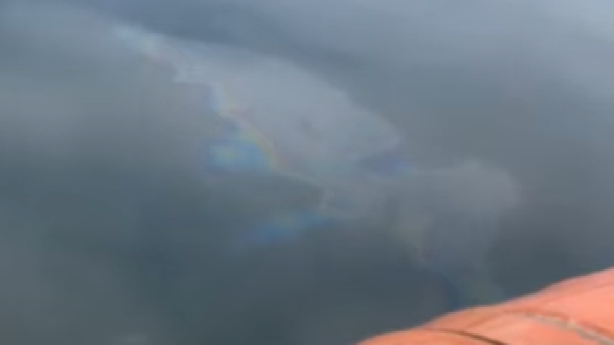 кадр из видео