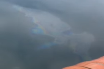 Фотография к новости: В Бухтарминском водохранилище обнаружили нефтяное пятно