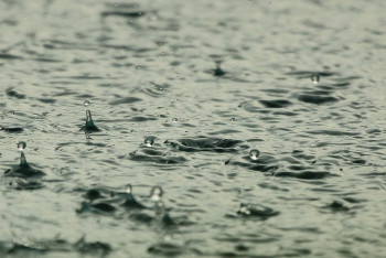 Фотография к новости: Сильный дождь, грозу и бурю ожидают в Астане 9 июня