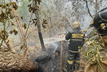 Фотография к новости: Ветер и жара разнесли пожар в "Семей орманы" до 30 тысяч гектаров