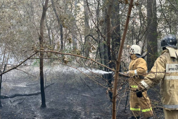 Фотография к новости: Спасателей из трех областей и Алматы отправят на тушение пожара в область Абай