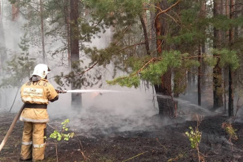 Фотография к новости: Обстановка на месте пожара в Абайской области стабилизировалась — МЧС