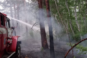 Фотография к новости: "Что успел, то и вывез": погорелец из Абайской области потерял в пожаре два дома