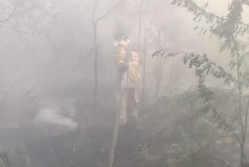 Фотография к новости: Тела ещё 11 погибших обнаружены во время тушения лесного пожара в области Абай