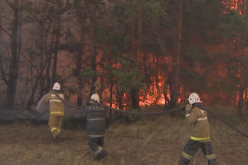 Фотография к новости: Пожарные дружины в регионах предлагает создавать эколог