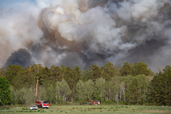 Фотография к новости: Опубликованы фото погибших при лесных пожарах в  области Абай