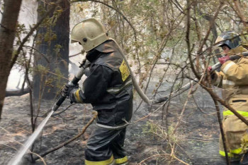 Фотография к новости: Лесной пожар в области Абай продолжают тушить около полутора тысяч человек