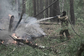 Фотография к новости: Пожарным не хватает питьевой воды: информацию прокомментировали в акимате области Абай