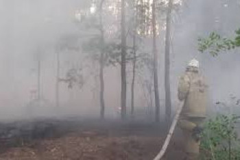 Фотография к новости: Что делать при сильном задымлении? В Минздраве выпустили рекомендации в связи с пожаром