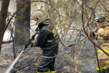 Фотография к новости: Готов ли Алматы к крупным пожарам?