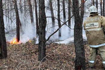 Фотография к новости: Пожар в области Абай: площадь достигла порядка 60 тысяч гектаров