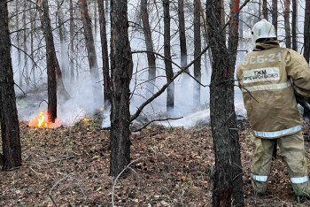 Фотография к новости: Площадь пожара значительно сократилась – Уранхаев