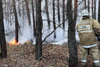 Фотография к новости: "Почему люди поехали тушить пожар на личных машинах?" - в мажилисе обсудили помощь пожарным