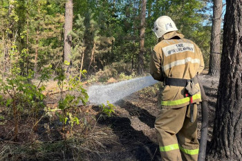 Фотография к новости: Тушение пожара ведут на четырёх участках в области Абай