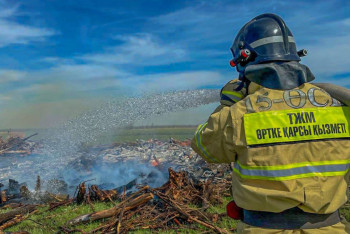 Фотография к новости: Лесной пожар в области Абай локализован