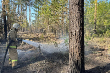 Фотография к новости: Стало известно, когда полностью ликвидируют пожар в области Абай