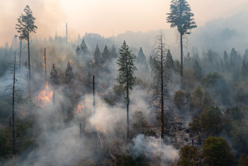 Казахстанцы собрали 200 млн тенге вместе с Kaspi.kz для пострадавших от пожара