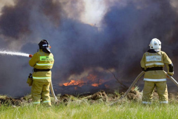 Фотография к новости: Пожар в Абайской области: в Минэкологии и МЧС могут провести повторный аудит