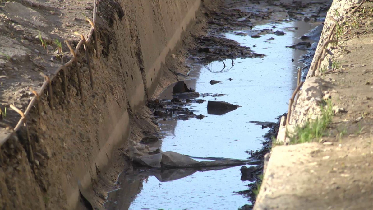 Анастасия Новикова