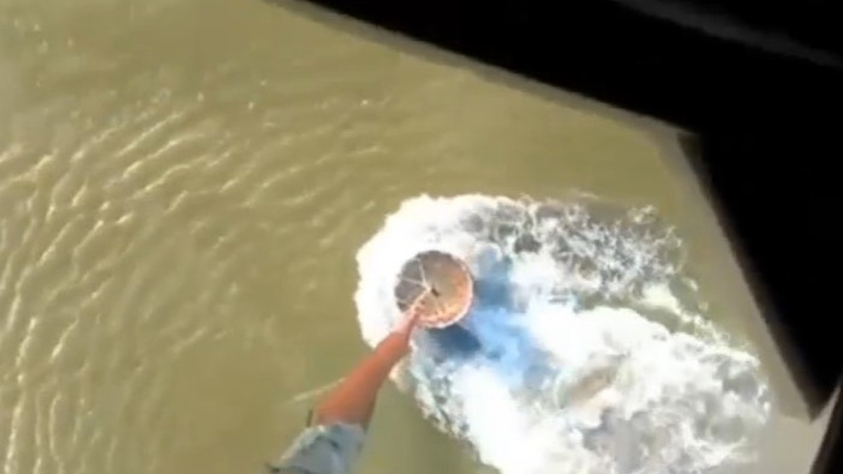 скриншот с видео