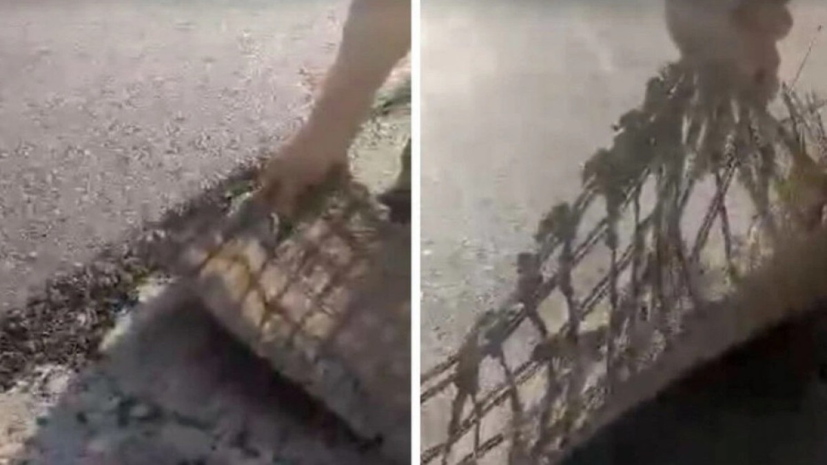 скриншот видео