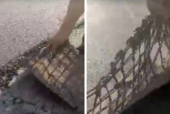 Асфальт-ковёр появился в Мангистау