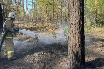 В МЧС рассказали о тушении пожара в области Абай